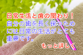 日常生活と歯の関わり！