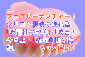 フェアリーデンチャー！